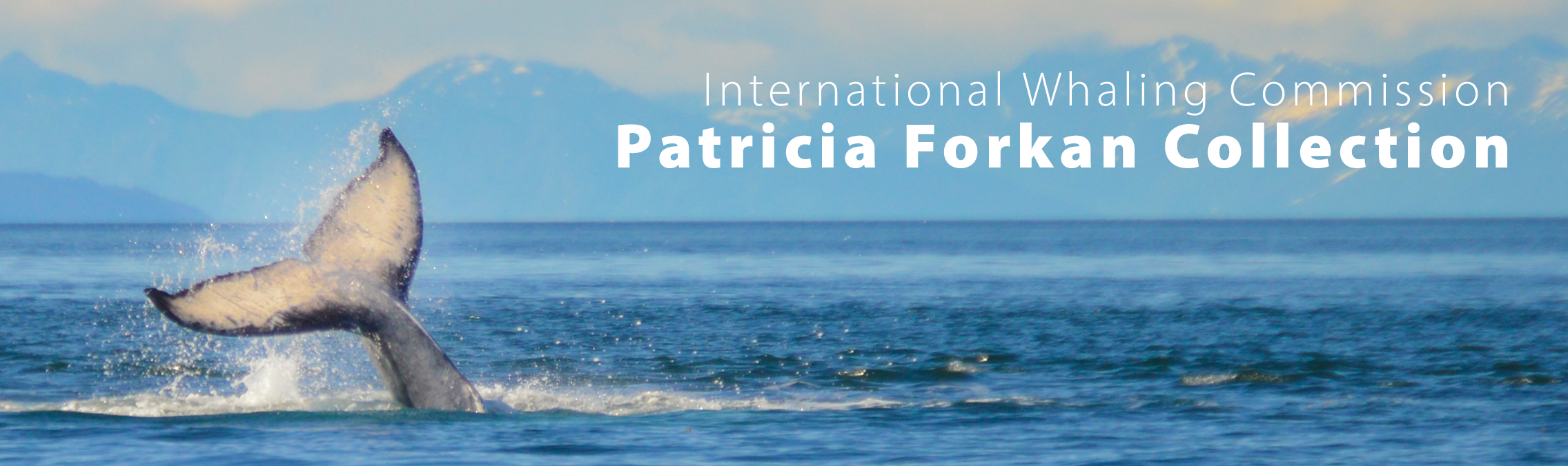 International Whaling Commission : Patricia Forkan Collection, 1971-2008
