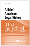 A Brief American Legal History in a Nutshell